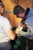 Zdjęcie: Hipoterapia w Jakubowie