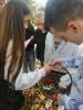 Zdjęcie: Zwiedzanie miasta i zajęcia w szkole