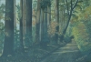 Zdjęcie: III Wystawa w 