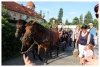 Zdjęcie: Grali mecz dla kobiet