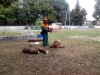 Zdjęcie: By praca pilarką była bezpieczna...