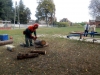 Zdjęcie: By praca pilarką była bezpieczna...