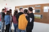 Zdjęcie: Więcej informacji o wojsku