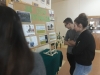 Zdjęcie: Więcej informacji o wojsku